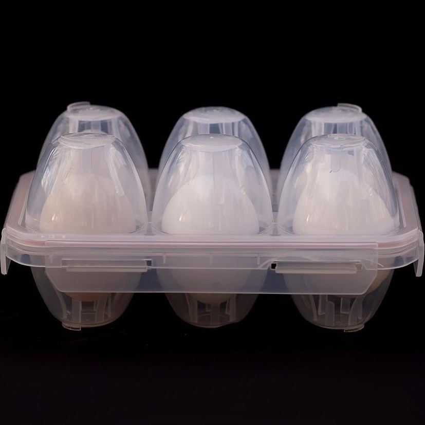 جا تخم مرغ 6 عددی بلک فایر